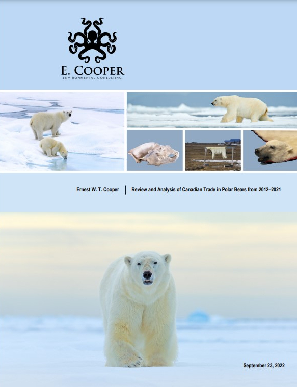 Review and Analysis of Canadian Trade in Polar Bears from 2012–2021